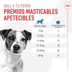 Royal Canin Training Treats Snacks para perros