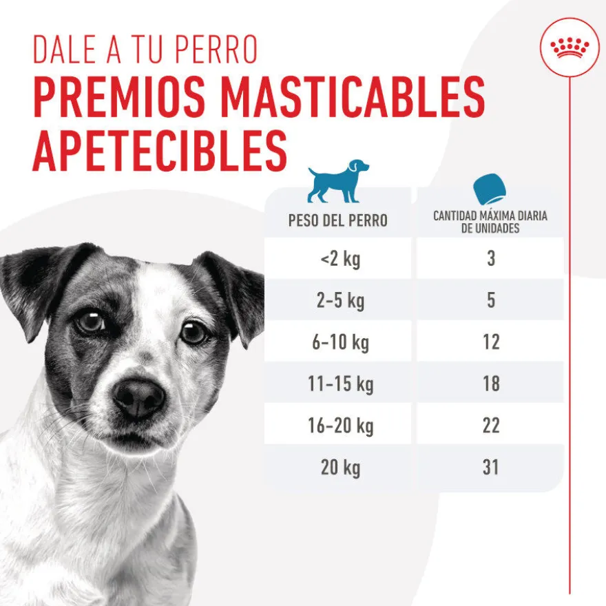 Royal Canin Training Treats Snacks para perros