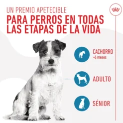 Royal Canin Training Treats Snacks para perros