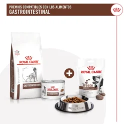 Royal Canin Treats Gastrointestinal Snacks para Perros
