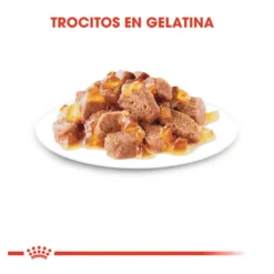 Royal Canin Ultra Light gelatina sobre para gatos