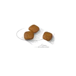 Royal Canin Urinary Care Mini pienso para perros