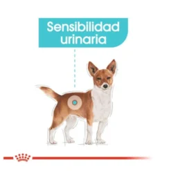 Royal Canin Urinary Care Mini pienso para perros