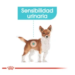 Royal Canin Urinary Care paté sobre para perros