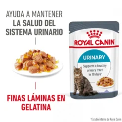 Royal Canin Urinary Care Sobre en Gelatina para gatos