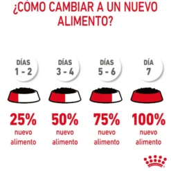 Royal Canin Urinary Care Sobre en Gelatina para gatos