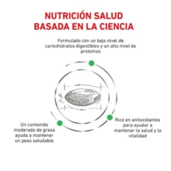 Royal Canin Veterinary Diabetic pienso para gatos