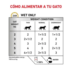 Royal Canin Veterinary Diet Urinary S/O sobres para gato