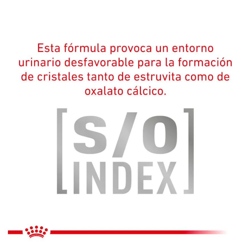 Royal Canin Veterinary Diet Urinary S/O sobres para gato