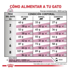 Royal Canin Veterinary Early Renal pienso para gatos