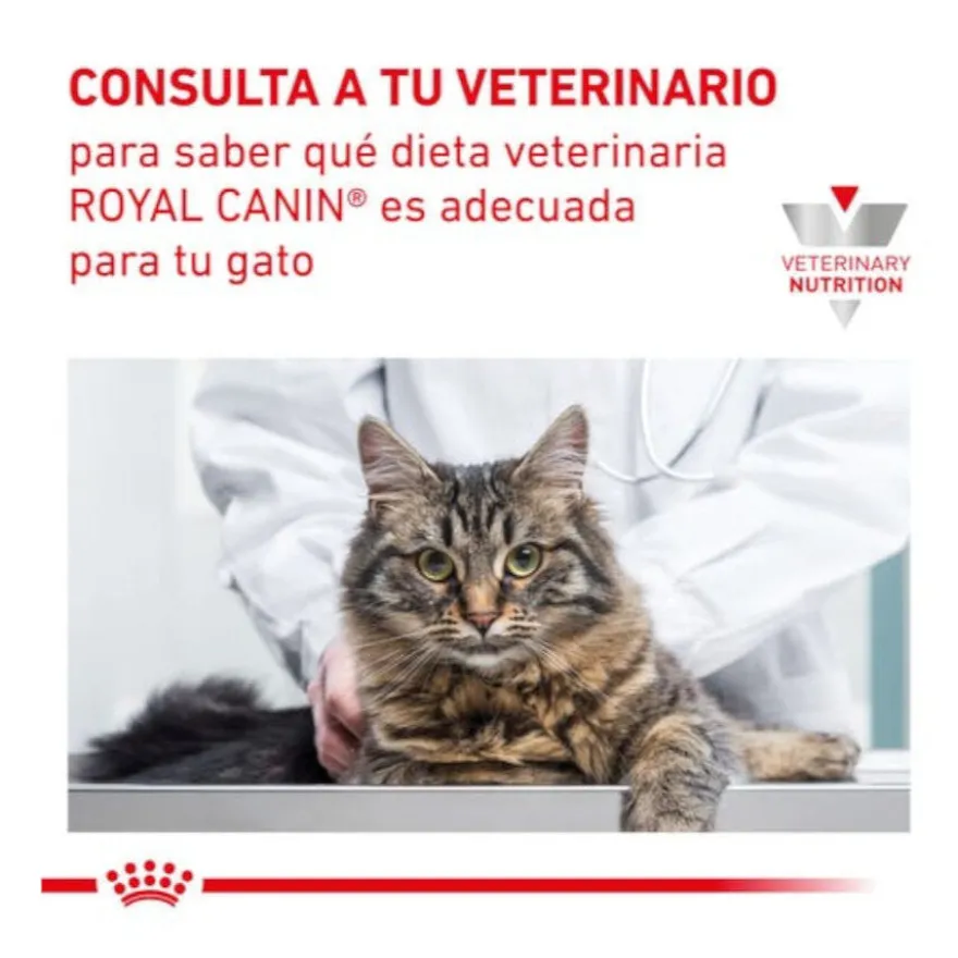 Royal Canin Veterinary Early Renal pienso para gatos