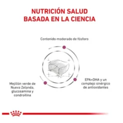 Royal Canin Veterinary Early Renal pienso para gatos