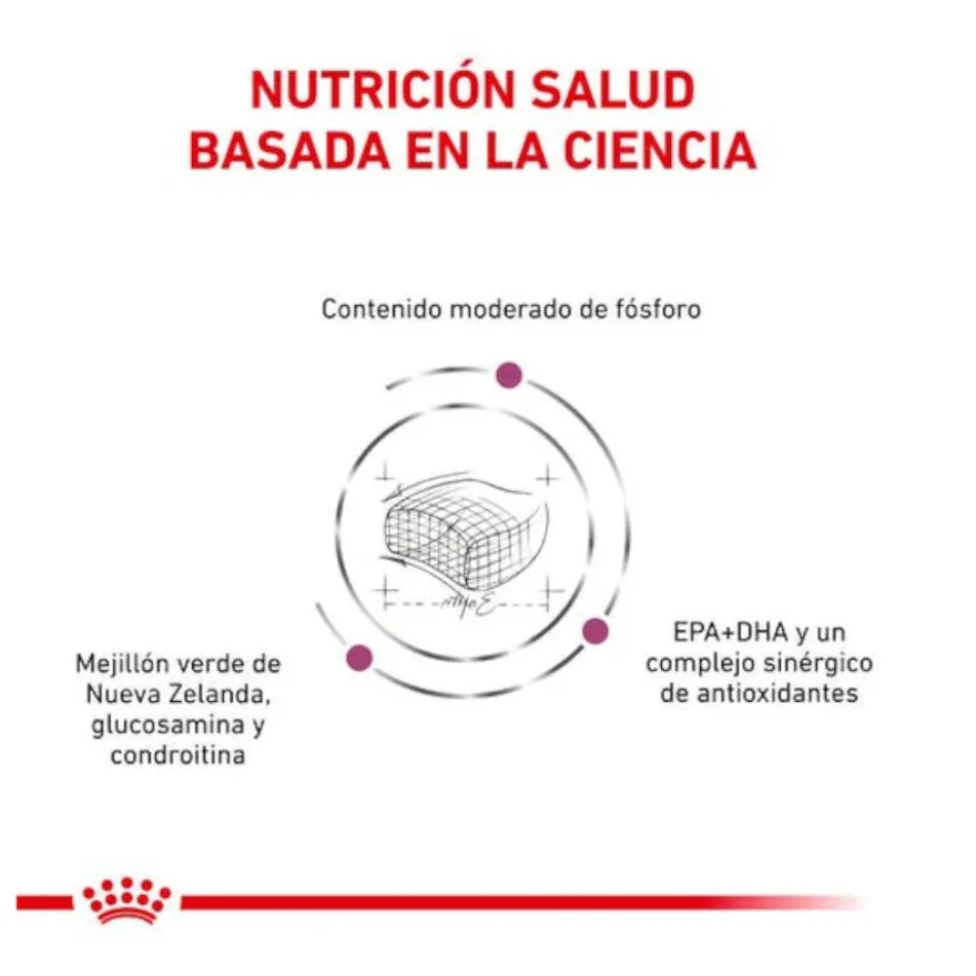 Royal Canin Veterinary Early Renal pienso para gatos