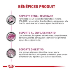 Royal Canin Veterinary Early Renal pienso para gatos