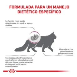Royal Canin Veterinary Early Renal pienso para gatos
