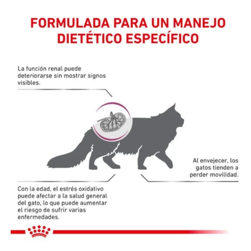 Royal Canin Veterinary Early Renal pienso para gatos