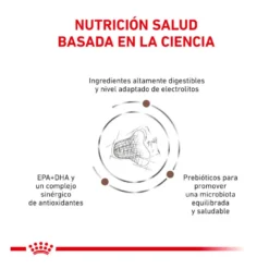 Royal Canin Veterinary Gastrointestinal Fibre Response pienso para gatos