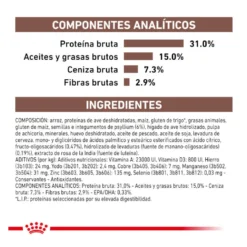 Royal Canin Veterinary Gastrointestinal Fibre Response pienso para gatos