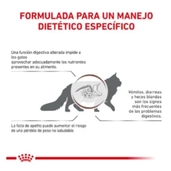 Royal Canin Veterinary Gastrointestinal pienso para gatos