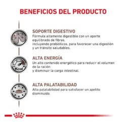 Royal Canin Veterinary Gastrointestinal pienso para gatos