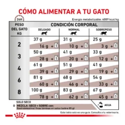 Royal Canin Veterinary Gastrointestinal pienso para gatos