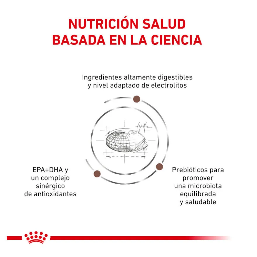 Royal Canin Veterinary Gastrointestinal Moderate Calorie pienso para gatos