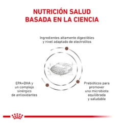 Royal Canin Veterinary Gastrointestinal Hairball pienso para gatos