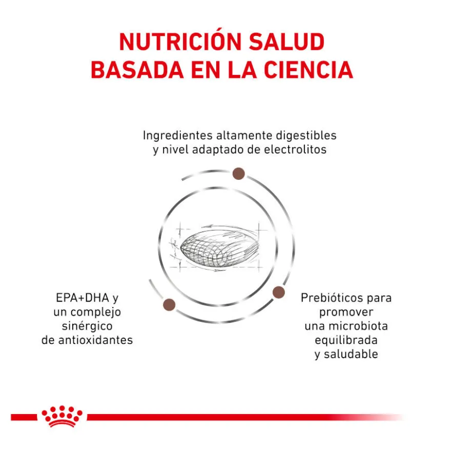 Royal Canin Veterinary Gastrointestinal Hairball pienso para gatos