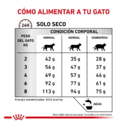 Royal Canin Veterinary Gastrointestinal Hairball pienso para gatos