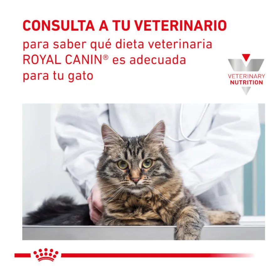 Royal Canin Veterinary Gastrointestinal Hairball pienso para gatos