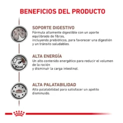 Royal Canin Veterinary Gastrointestinal sobre en salsa para gatos