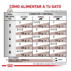 Royal Canin Veterinary Gastrointestinal sobre en salsa para gatos