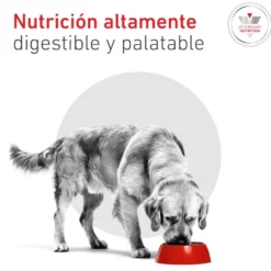 Royal Canin Veterinary Glycobalance Pienso para perros