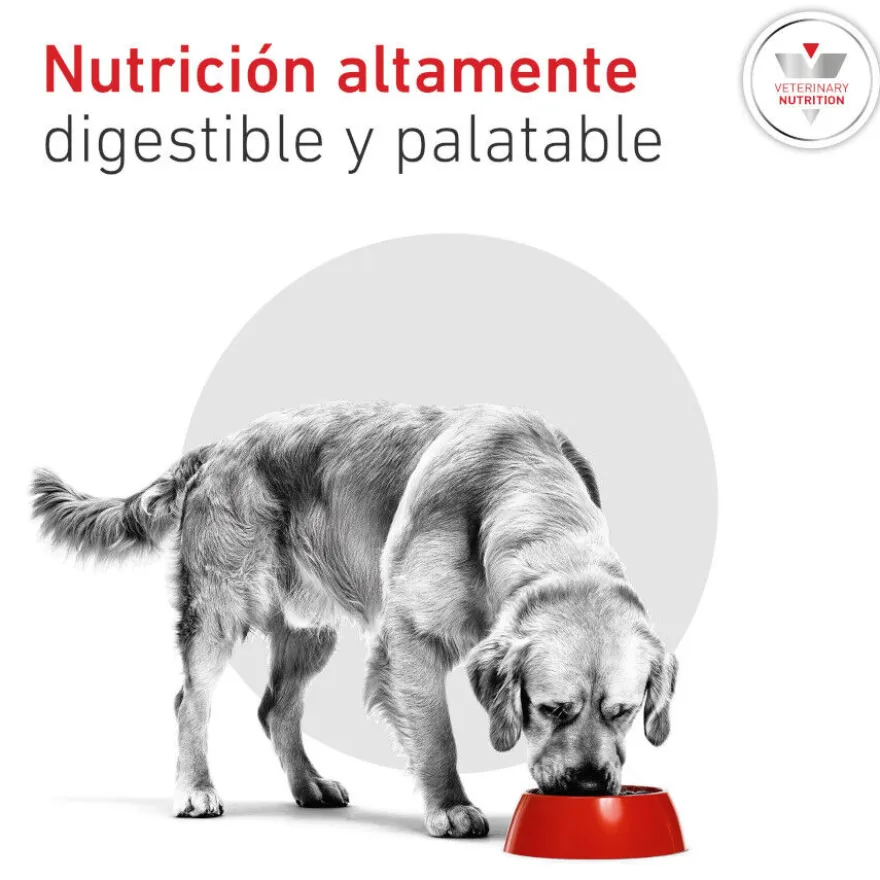 Royal Canin Veterinary Glycobalance Pienso para perros