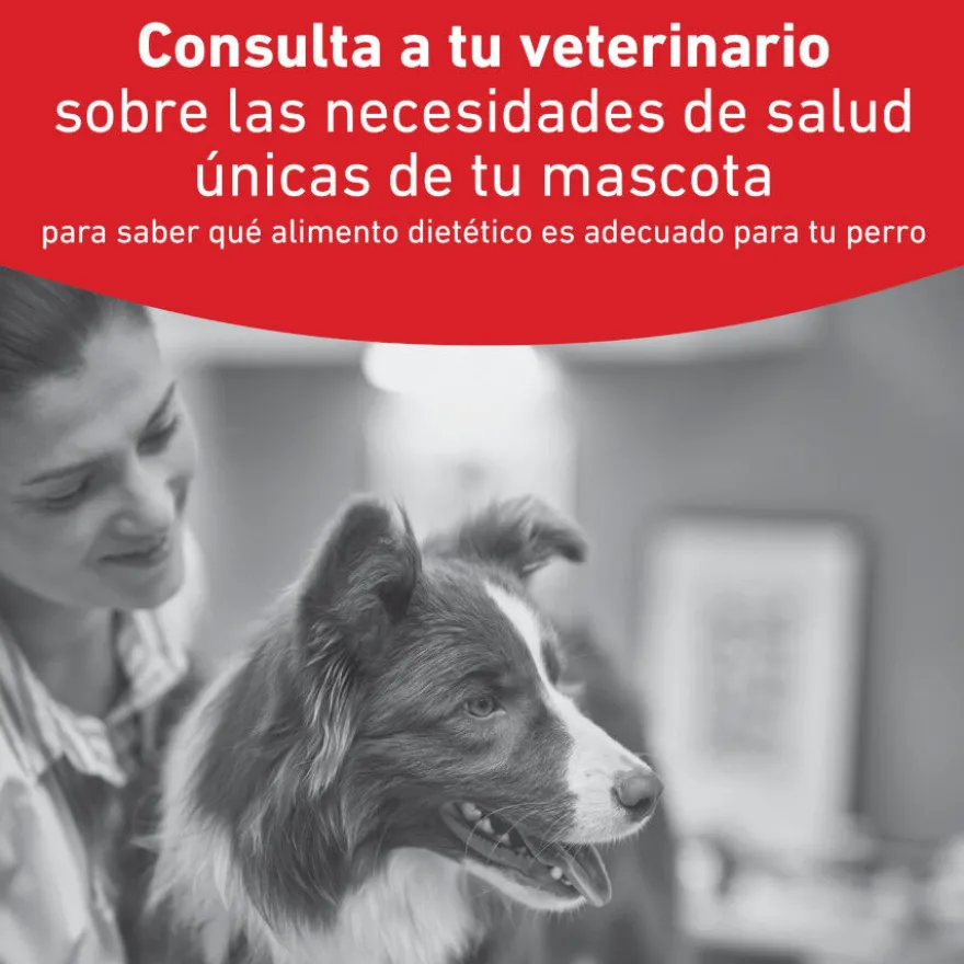 Royal Canin Veterinary Glycobalance Pienso para perros