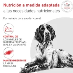 Royal Canin Veterinary Glycobalance Pienso para perros