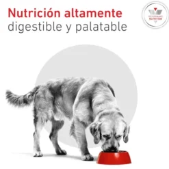 Royal Canin Veterinary Glycobalance Lata para perros