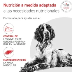 Royal Canin Veterinary Glycobalance Lata para perros