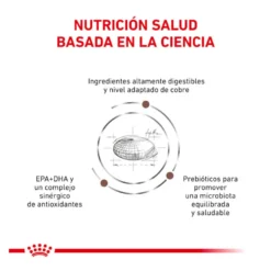 Royal Canin Veterinary Hepatic pienso para gatos