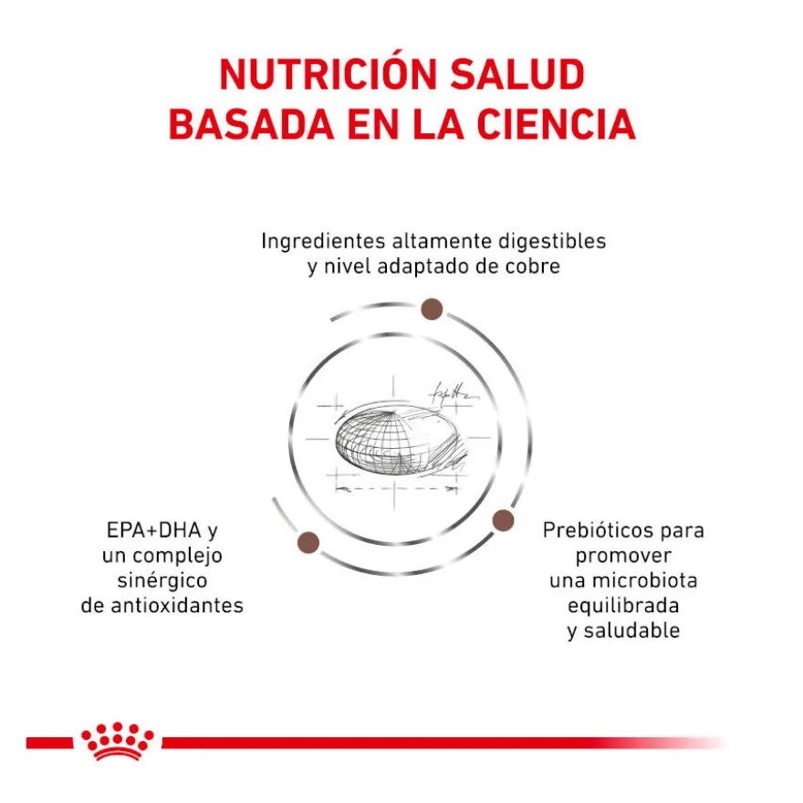 Royal Canin Veterinary Hepatic pienso para gatos