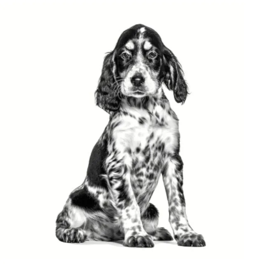 Royal Canin Veterinary Hypoallergenic pienso para cachorros