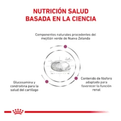 Royal Canin Veterinary Mobility pienso para gatos