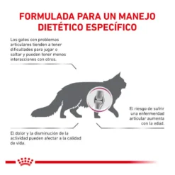 Royal Canin Veterinary Mobility pienso para gatos