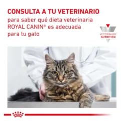 Royal Canin Veterinary Mobility pienso para gatos