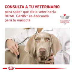 Royal Canin Veterinary Recovery lata para perros y gatos