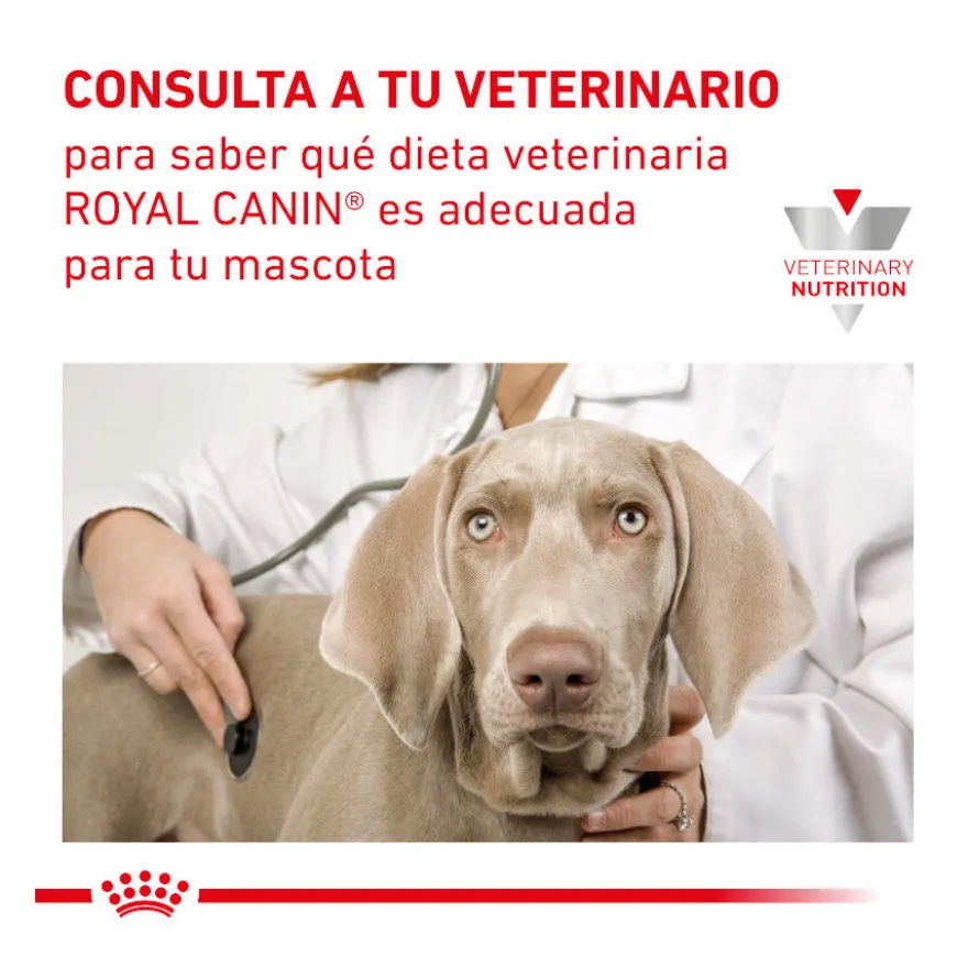 Royal Canin Veterinary Recovery lata para perros y gatos