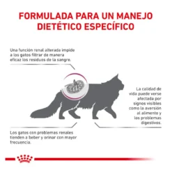 Royal Canin Veterinary Renal pienso para gatos