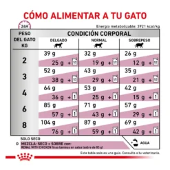 Royal Canin Veterinary Renal pienso para gatos