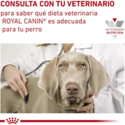 Royal Canin Veterinary Sensitivity Control Mousse de Pollo y Arroz lata para perros