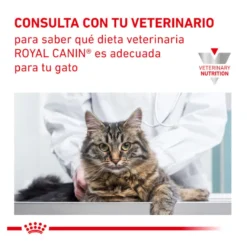 Royal Canin Veterinary Urinary pienso para gatos